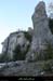 20090315_passageboisstmartin_sentier6