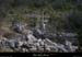 20090405_labeaume_boisstmartin_calvaire4