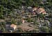 20100711_labeaume_boisstmartin2