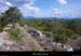 20110724_labeaume_boisdevignevieille