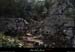 20130223_labeaume_boisstmartin_sentier1