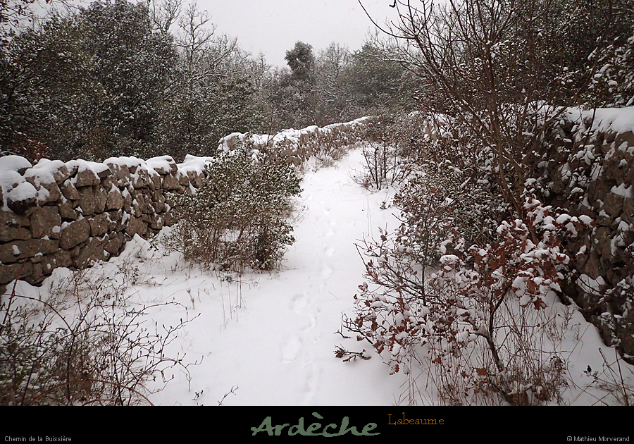 20180228_008