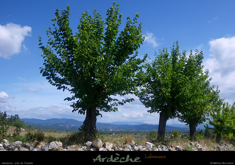 20110724_labeaume_presdechazalis