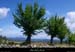 20110724_labeaume_presdechazalis
