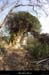 20130401_labeaume_boisdurocherdescures_arche2