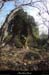 20130401_labeaume_boisdurocherdescures_arche3