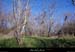 20101226_labeaume_boisdelaconfluence1