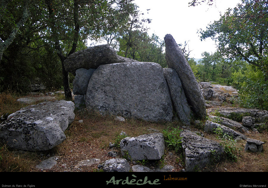 20100727_labeaume_dolmenrancdefigere2