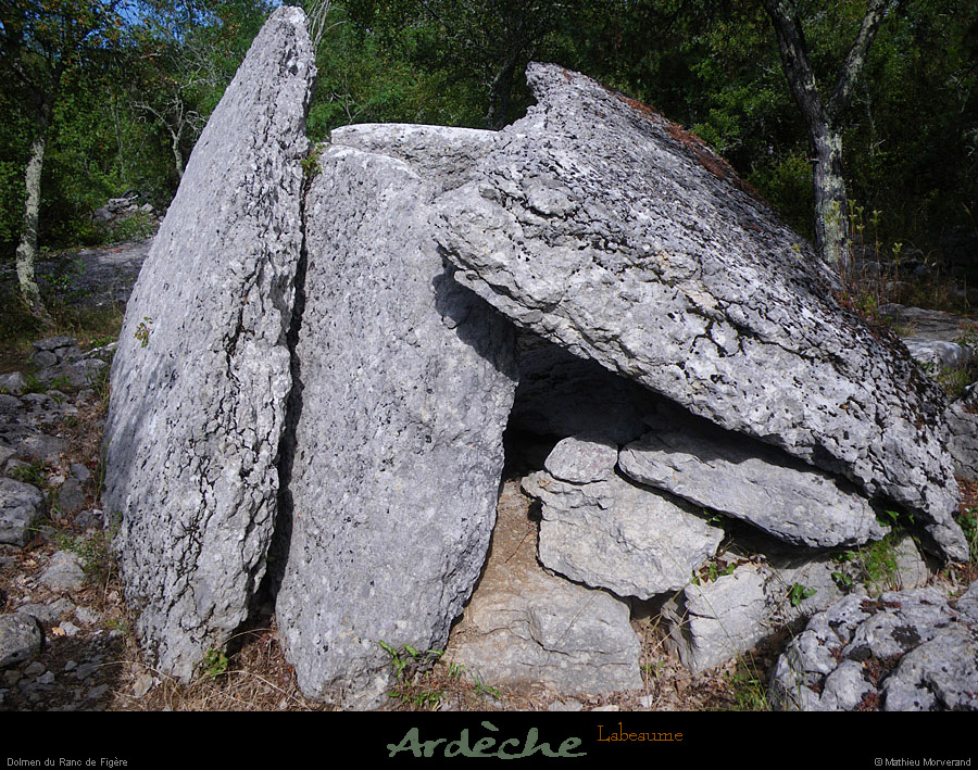 20100727_labeaume_dolmenrancdefigere3