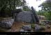 20100727_labeaume_dolmenrancdefigere2