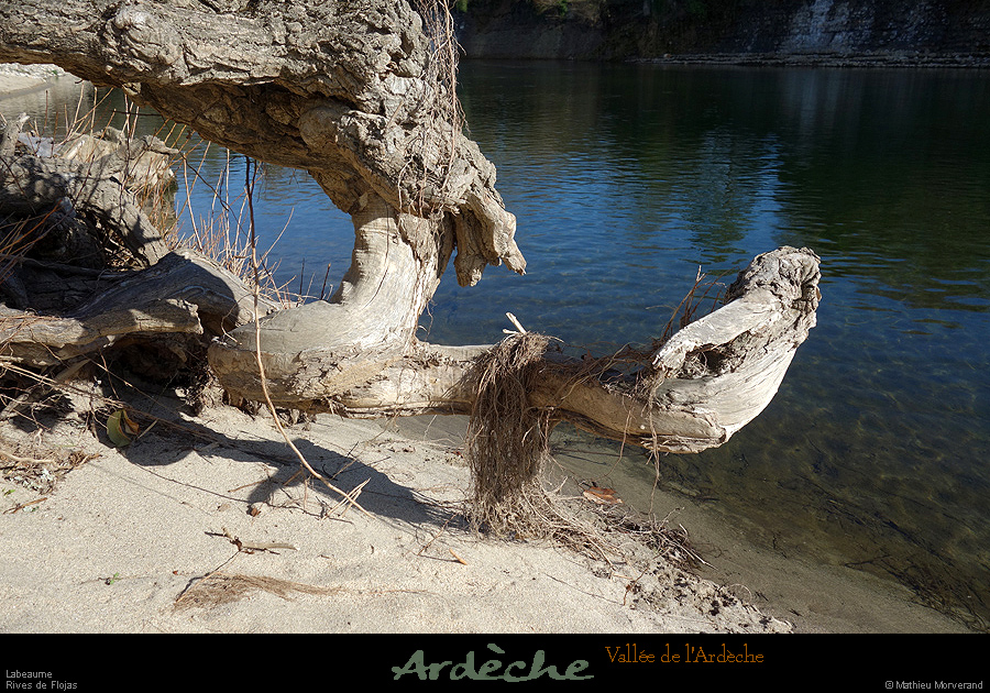 20170226_meandreflojasplage2