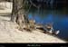 20170226_meandreflojasplage1