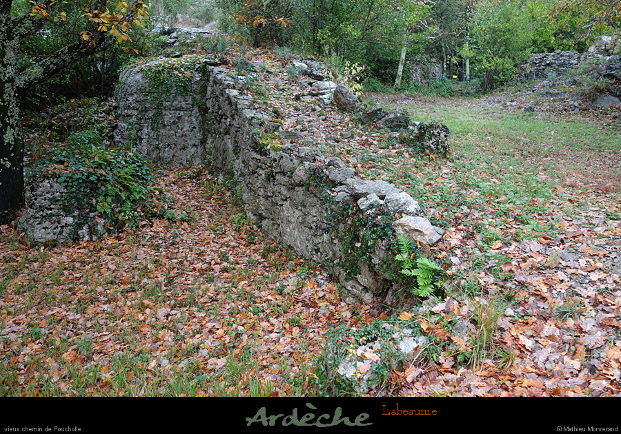 20201108_01