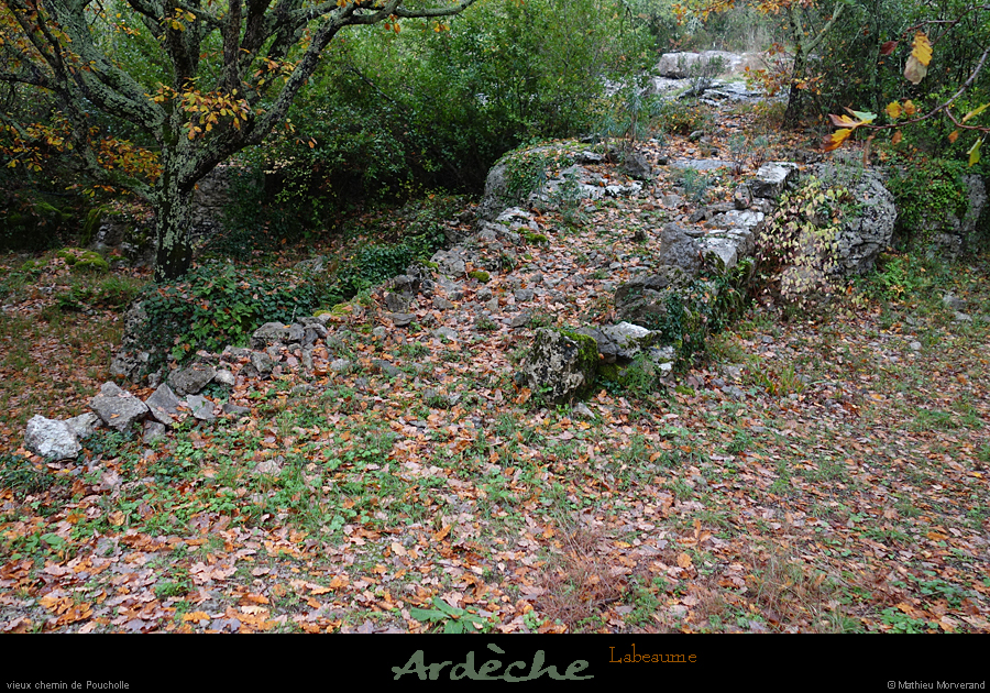 20201108_02