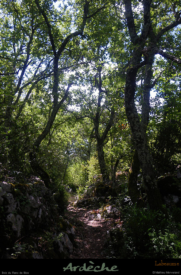 20110724_labeaume_boisdurancdebise
