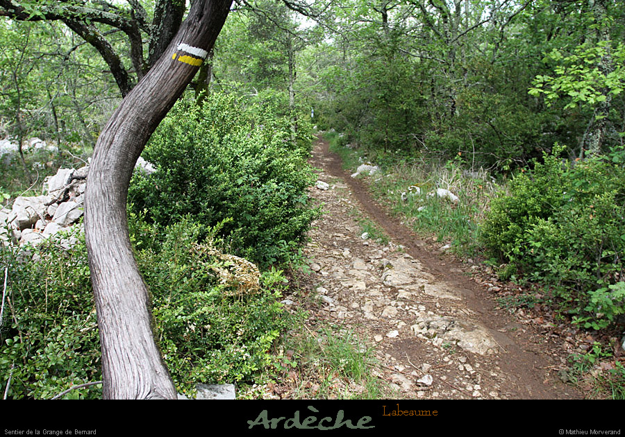 20120429_labeaume_sentierdelagrangedebernard1