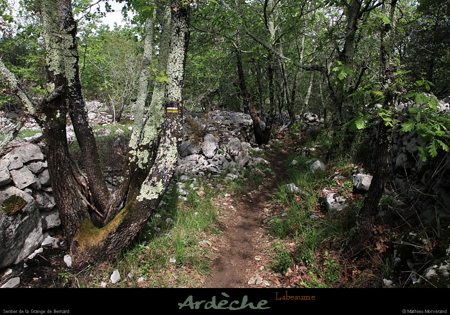 20120429_labeaume_sentierdelagrangedebernard2
