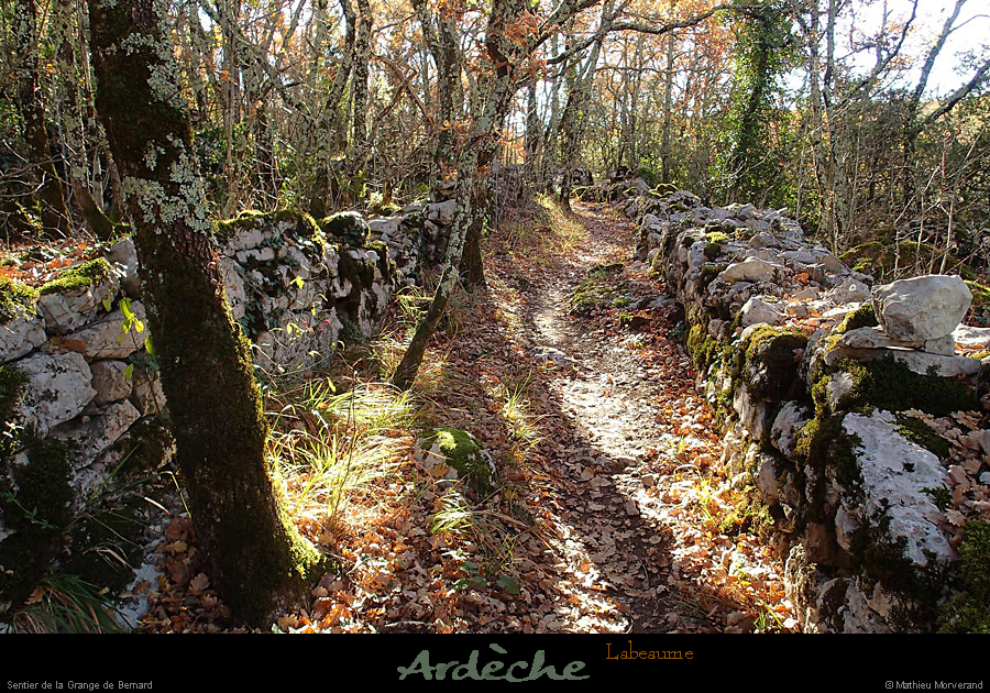 20131207_labeaume_sentierdelagrangedebernard1