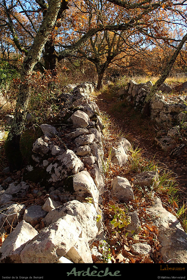 20131207_labeaume_sentierdelagrangedebernard2