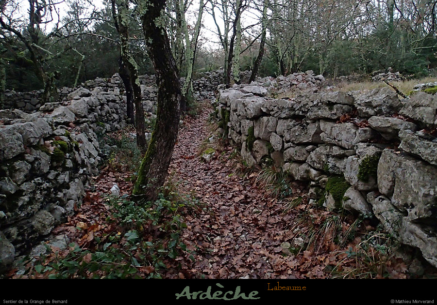 20141205_labeaume_sentiergrandedebernard1