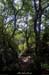 20110724_labeaume_boisdurancdebise