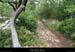 20120429_labeaume_sentierdelagrangedebernard1