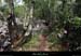 20120429_labeaume_sentierdelagrangedebernard2