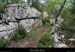 20120429_labeaume_sentierdelagrangedebernard3
