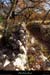 20131207_labeaume_sentierdelagrangedebernard2