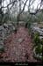 20141205_labeaume_sentiergrandedebernard2