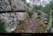 20141205_labeaume_sentiergrandedebernard3
