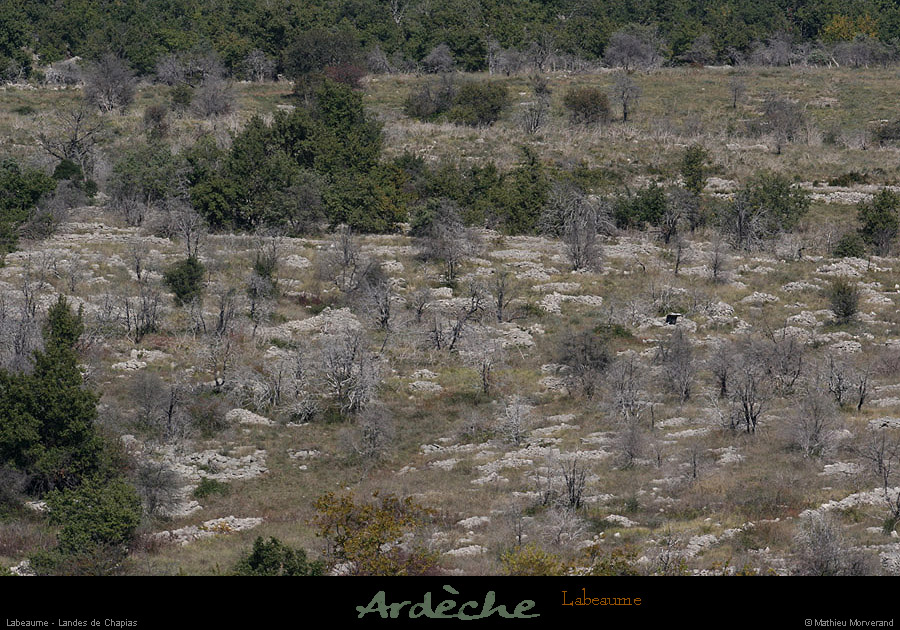 20081004_landeschapias1