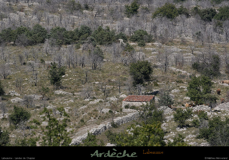 20081004_landeschapias2