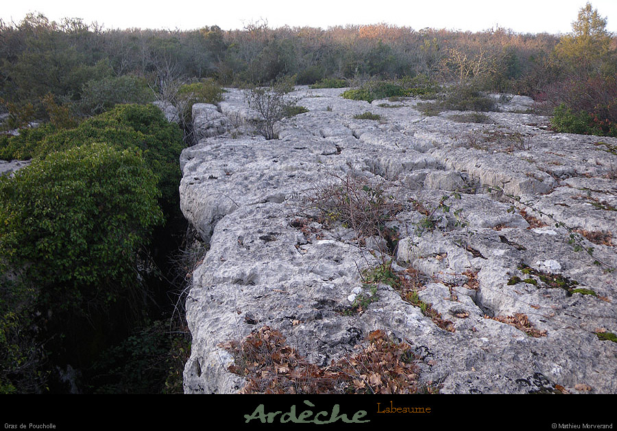 20100102_labeaume_graspoucholle1