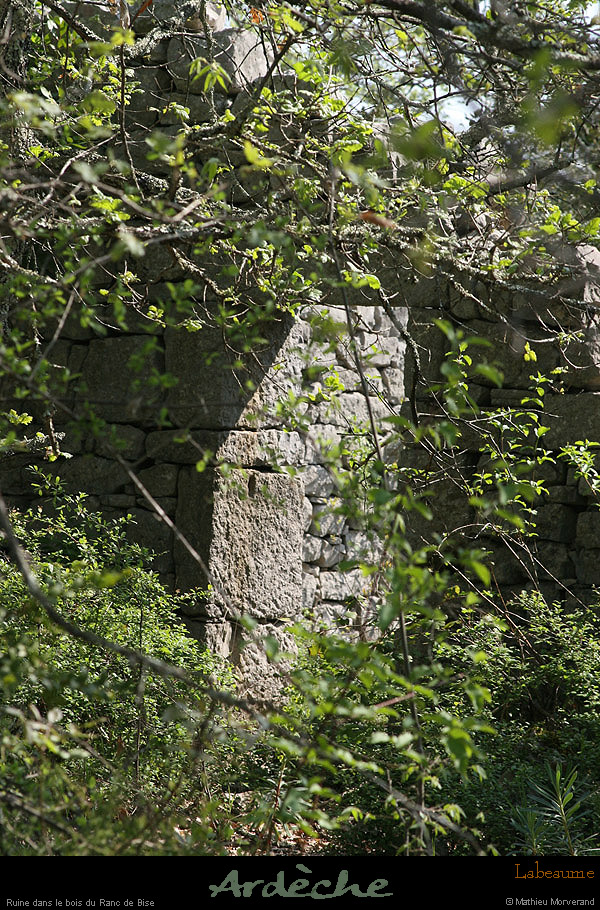 20100425_boislabeaume_rancdebise1