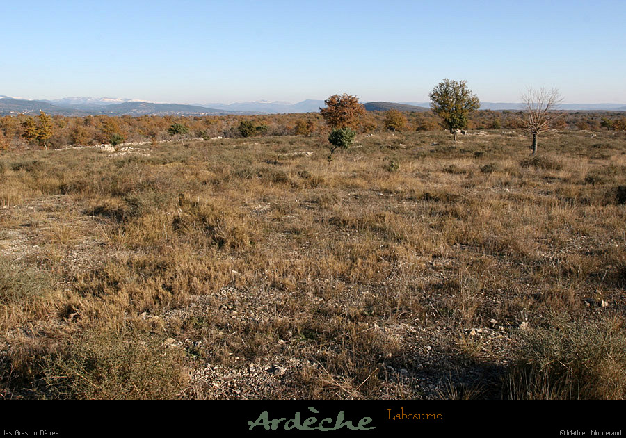 20101204_labeaume_grasdudeves
