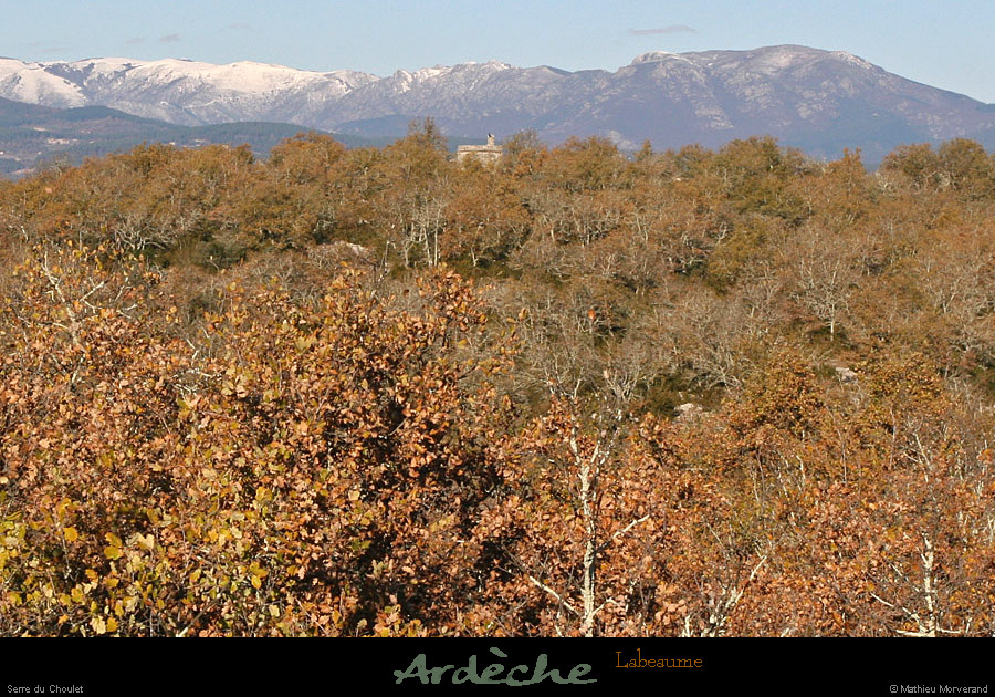 20101204_labeaume_serreduchoulet