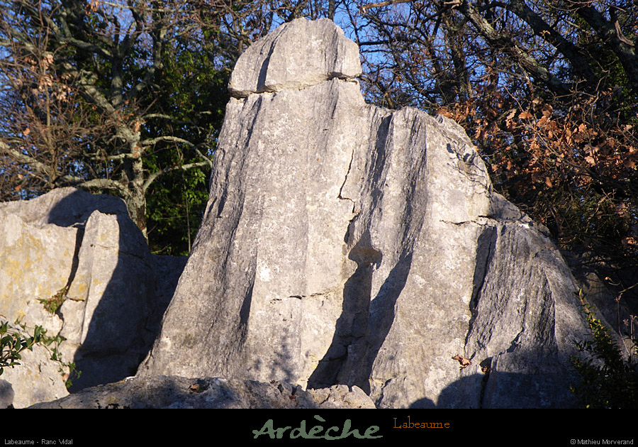 20110116_labeaume_ranvidal