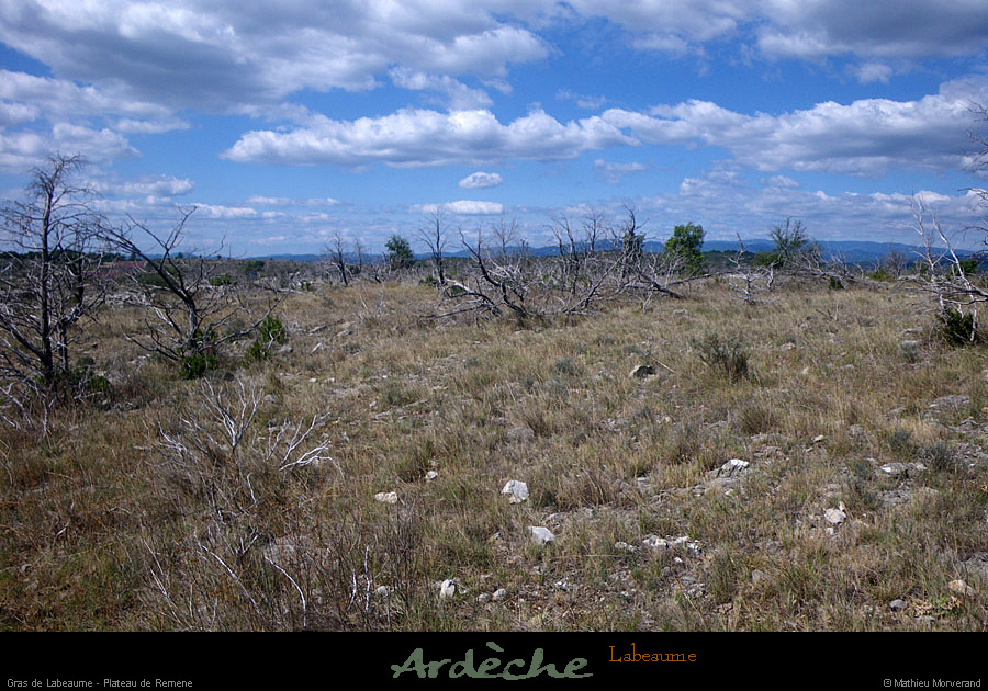 20110724_laurac_plateauderemene