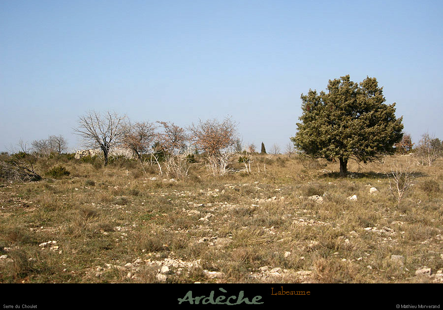 20130331_labeaume_serreduchoulet