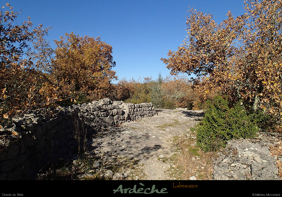 20131207_labeaume_chemindutrible