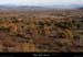 20101204_grasdelabeaumedetourchapias_nord