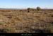 20101204_labeaume_grasdudeves