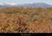 20101204_labeaume_serreduchoulet