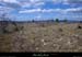 20110724_laurac_plateauderemene