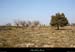 20130331_labeaume_serreduchoulet