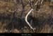 20131208_labeaume_grasdepeyrefit1