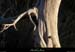 20131208_labeaume_grasdepeyrefit2