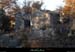 20131208_labeaume_grasdepeyrefit_ruines6