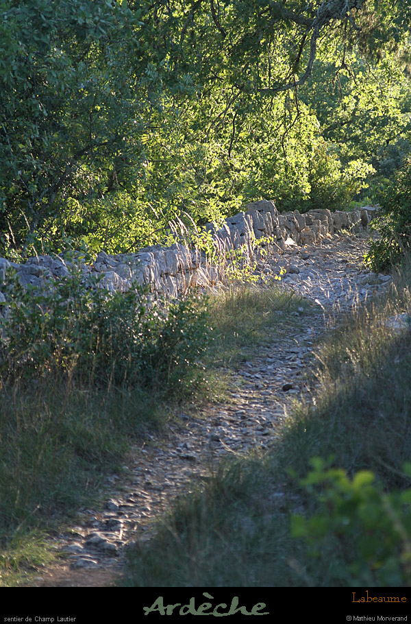 20110731_labeaume_chemindechamplautier